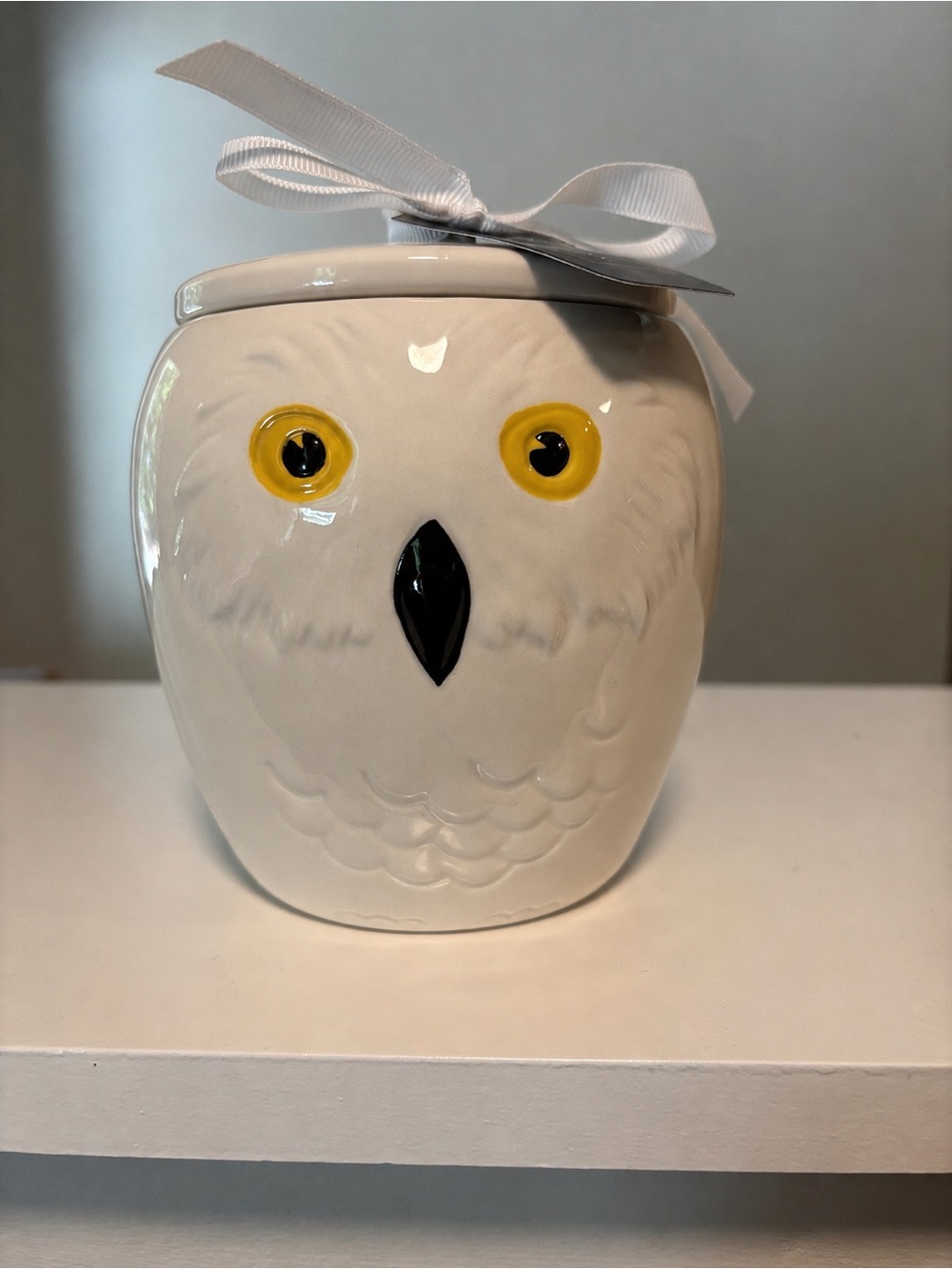 Ceramic Harry Potter Hedwig Owl Jar